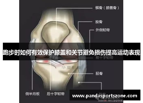 跑步时如何有效保护膝盖和关节避免损伤提高运动表现