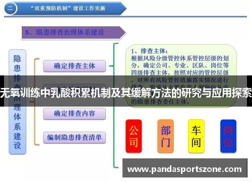 无氧训练中乳酸积累机制及其缓解方法的研究与应用探索